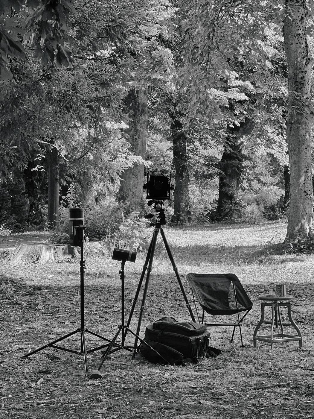 Plein Air Studio — Naruhako
